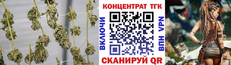ТГК THC oil  Вилючинск 