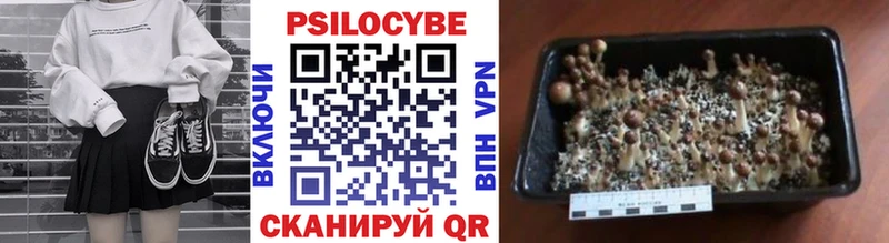 Псилоцибиновые грибы ЛСД  Вилючинск 